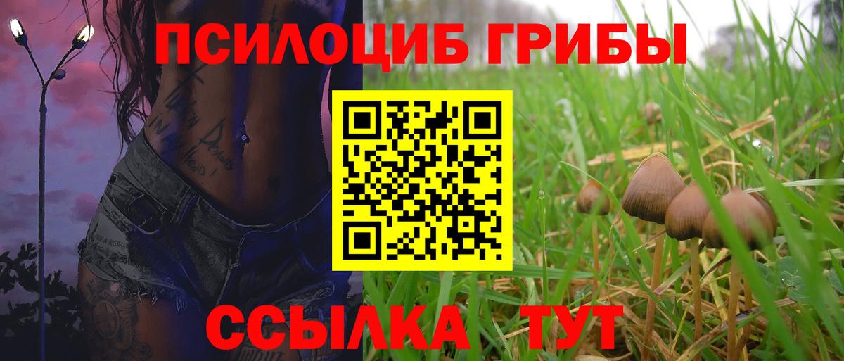 Псилоцибиновые грибы Cubensis  что такое наркотик  Галлюциногенные грибы ЛСД  Дубна  Вход с VPN 